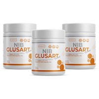 Colageno Hidrolizado con Glucosamina 550 gr Pack 3x2 NibGlusart Premium